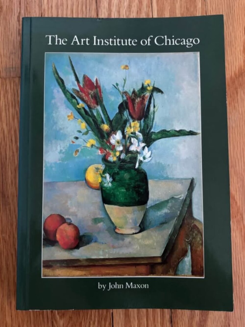 The Art Institute of Chicago by John Maxon